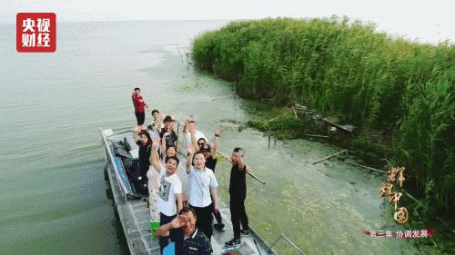 绿的谐波上市，探索自然之美的崭新旅程