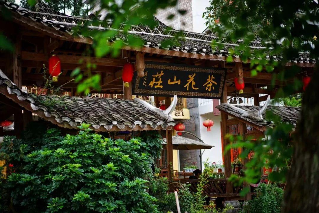 出名明星的心灵与自然的完美之旅