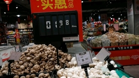 最新大葱市场动态解析与趋势展望