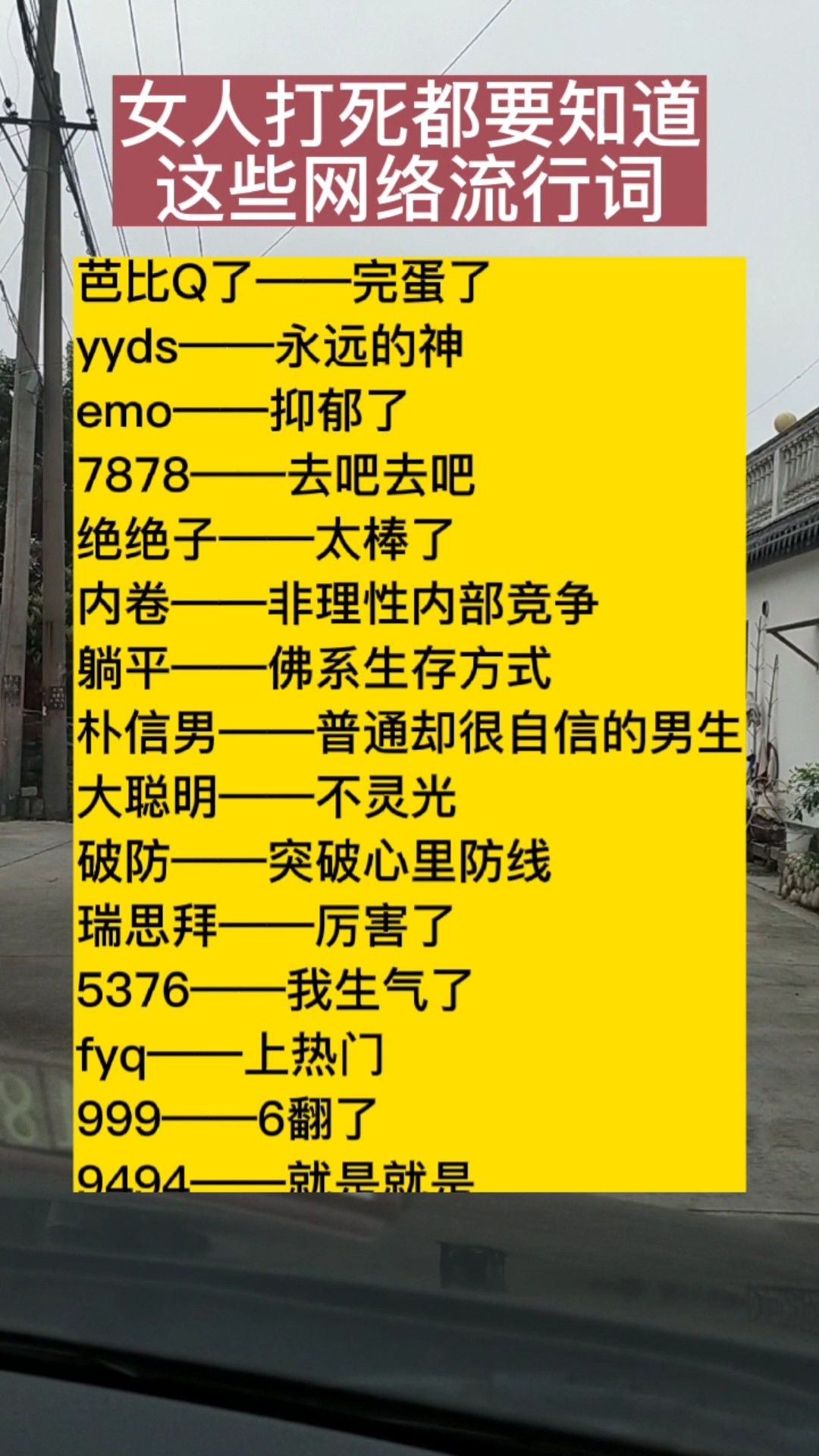 网络流行词汇最新动态概览