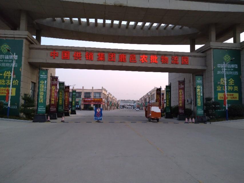 鹿邑金日油业崭露头角，油业新星闪耀，见证变化中的自信与成就感