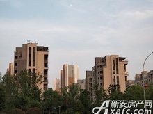 海亮江湾城最新进度揭秘，未来繁华面貌展望