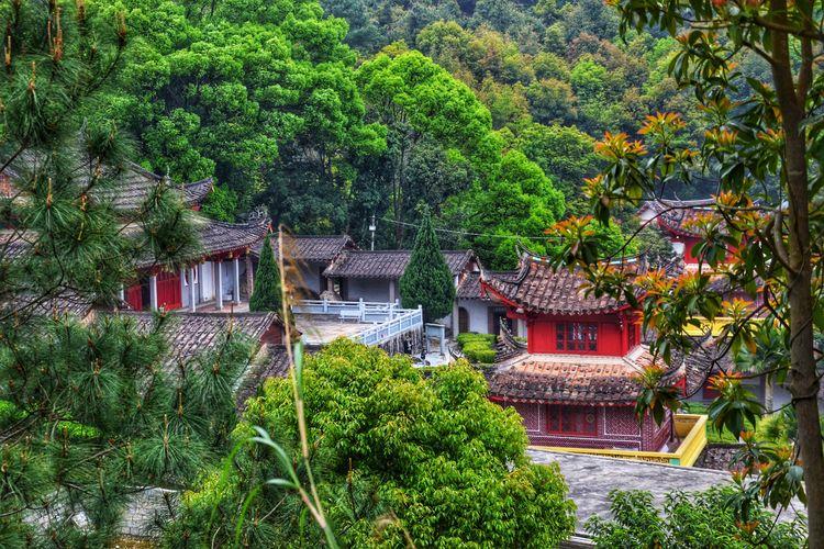 揭秘九仙道最新破解版下载，踏上修仙之路的无障碍启程！