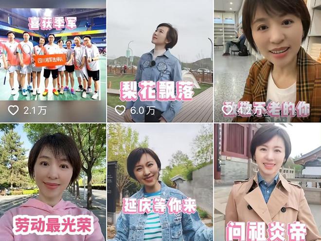 海霞最新动态揭秘，小巷中的隐藏宝藏