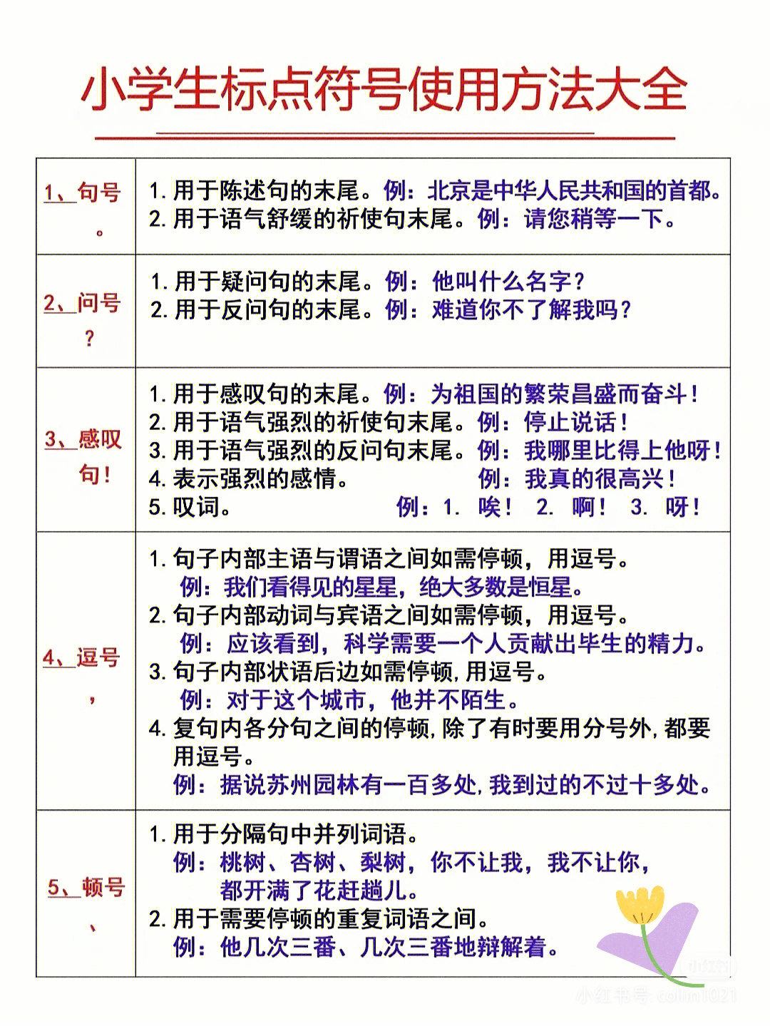 最新暗号方法揭秘，轻松玩转社交圈秘籍！