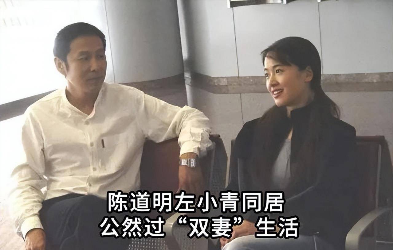 陈明道最新，小巷中的美食秘密