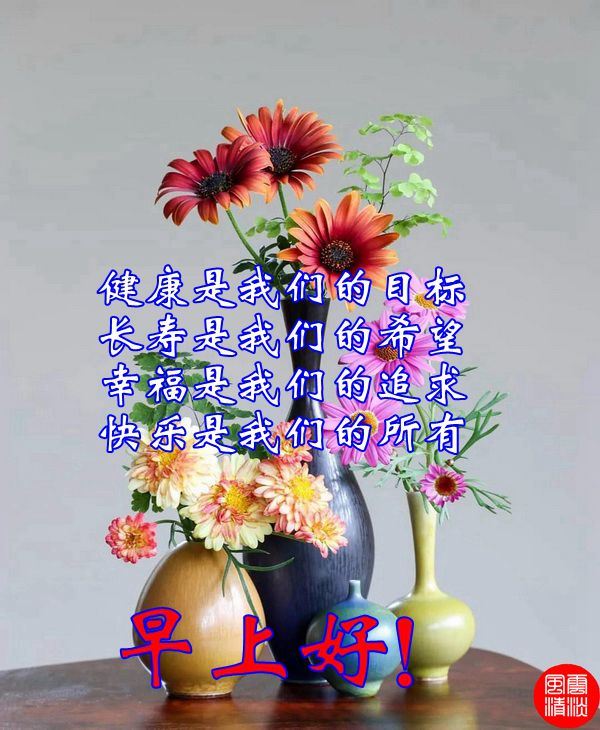 最新每日寄语，知识的力量，笑对人生的勇气