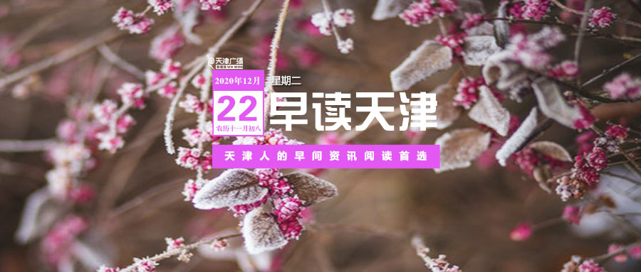疫情下的生活点滴记录与最新疫晴分享🌸