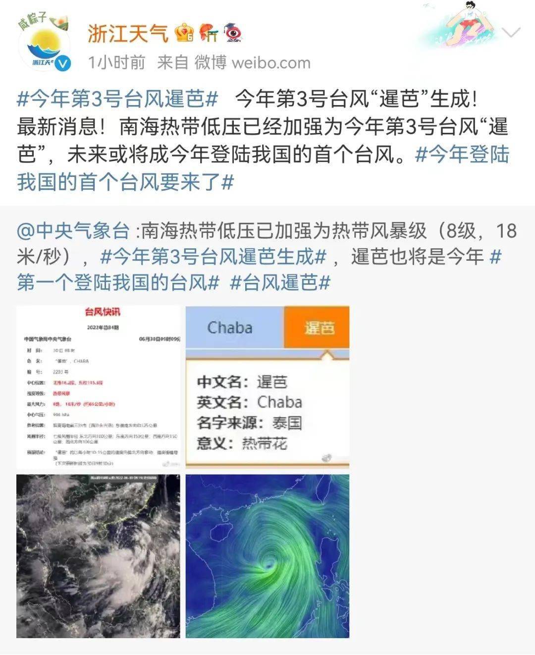 最新台风调侃，风云间的幽默对话