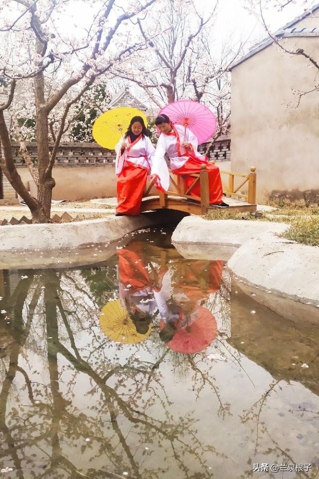 兰州赏花盛宴，自然美景与励志之旅的融合体验