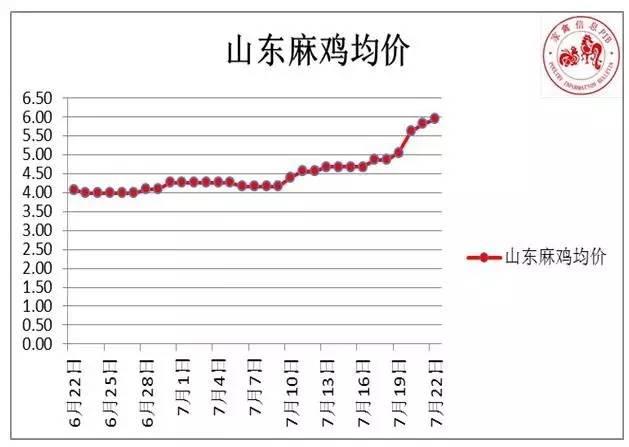 今日麻鸡最新价格详解及购买步骤指南