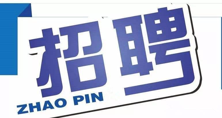 宁阳最新招聘信息揭秘，小巷中的职业机遇等你来探索！