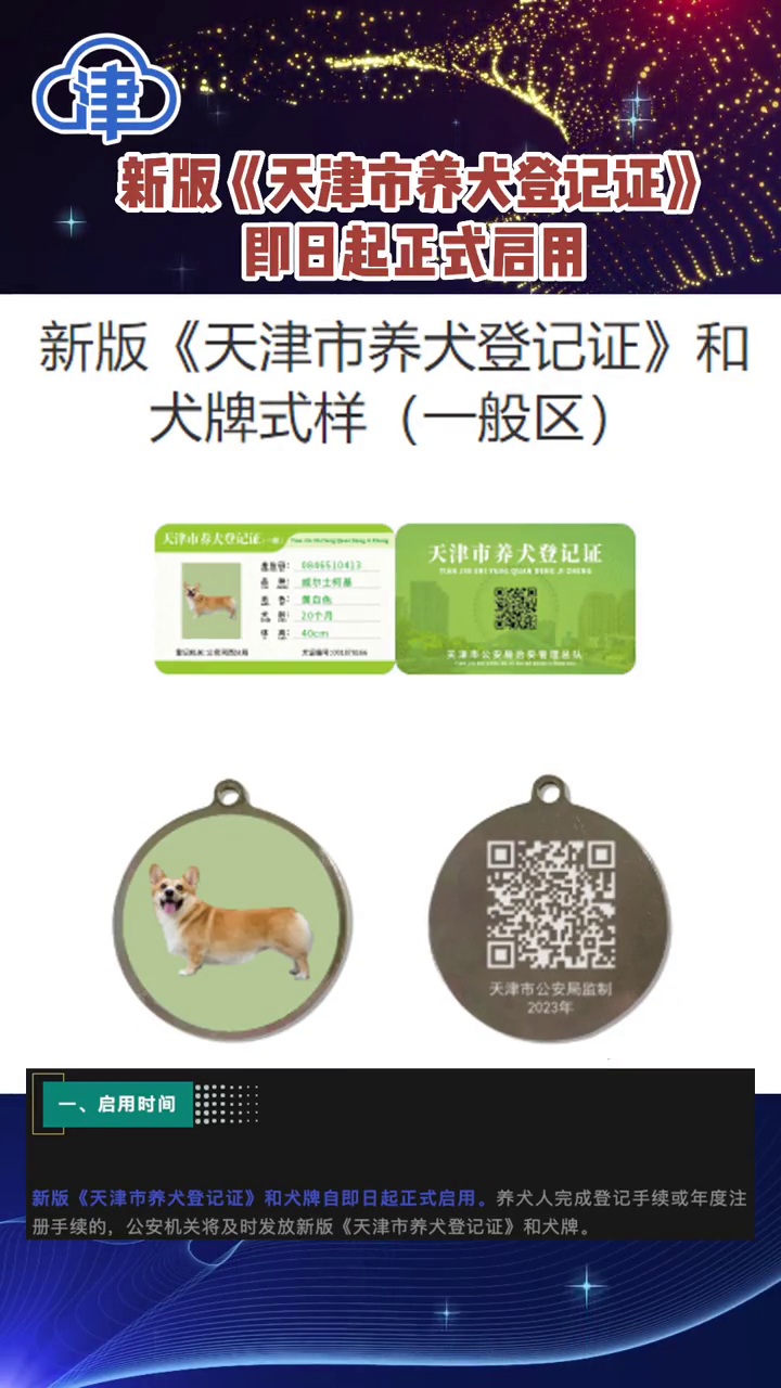 天津办狗证最新流程，见证变化与成长的一纸证书