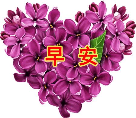 最新早安动态图片启程探索自然美景，寻找内心平和之地