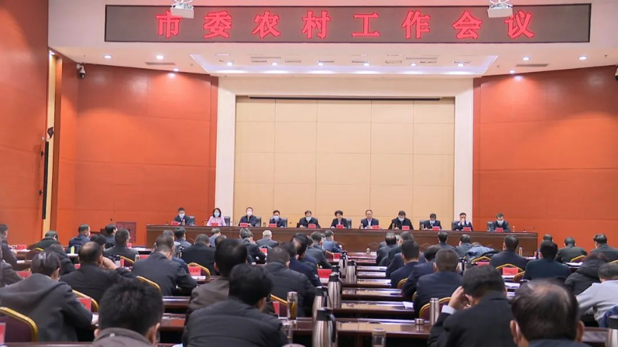 金昌市委最新任命详解，步骤指南与初学者进阶指南