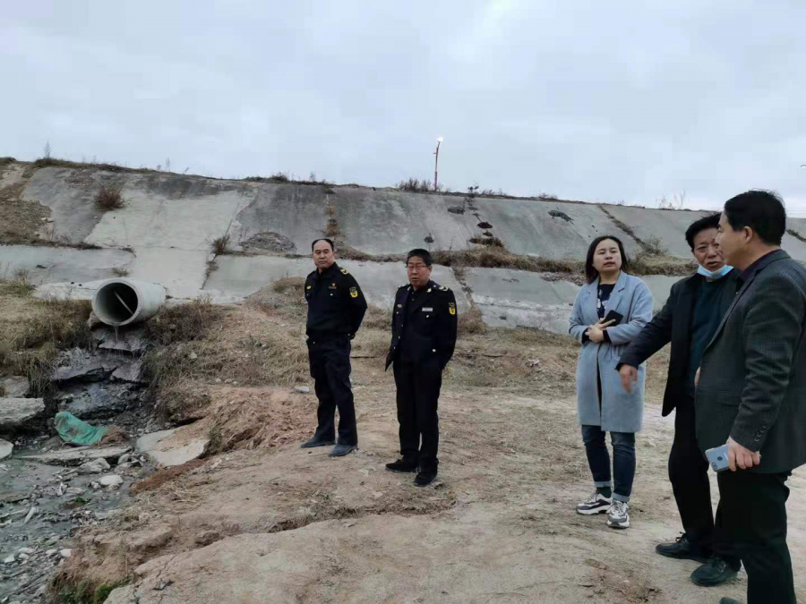 陇西县房价最新动态概览，最新房价指南