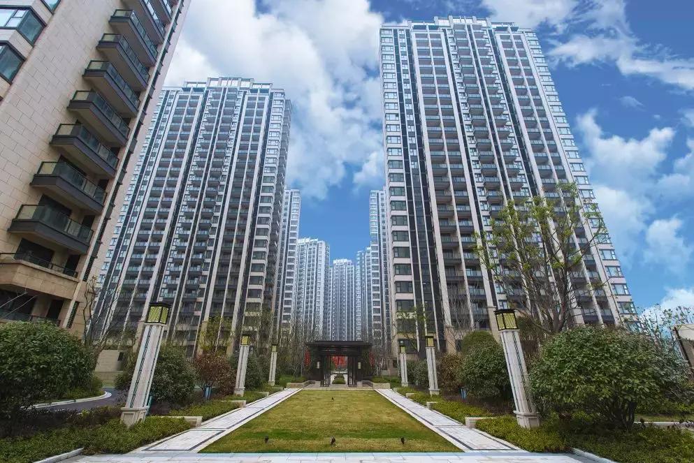 南京嘉誉山最新动态，绿色先锋引领城市发展之路