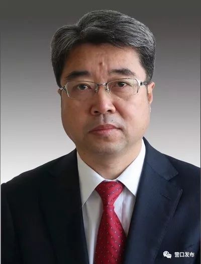 辽宁营口最新人事任免及小巷深处的独特风味揭秘
