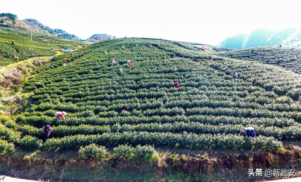 黔南瓮安最新招聘信息概览，最新职位与招聘信息汇总